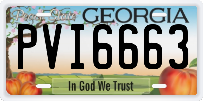 GA license plate PVI6663