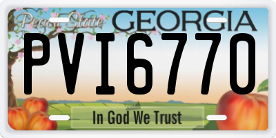 GA license plate PVI6770