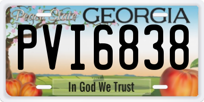 GA license plate PVI6838