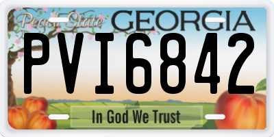 GA license plate PVI6842