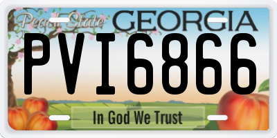 GA license plate PVI6866