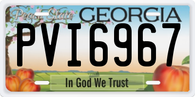 GA license plate PVI6967