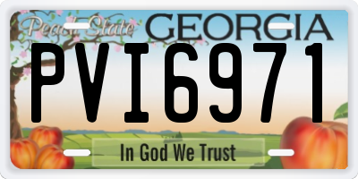 GA license plate PVI6971
