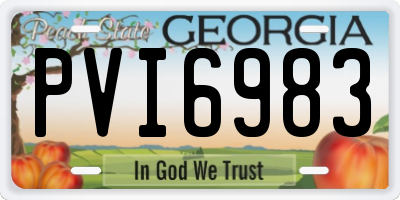 GA license plate PVI6983