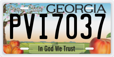 GA license plate PVI7037
