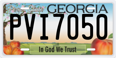 GA license plate PVI7050