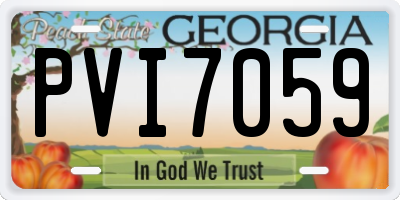 GA license plate PVI7059