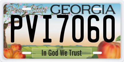 GA license plate PVI7060