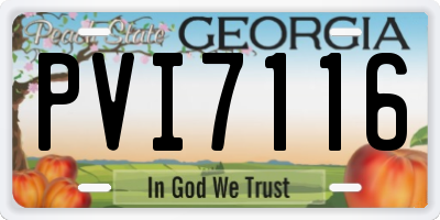 GA license plate PVI7116