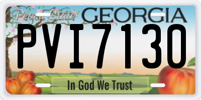 GA license plate PVI7130