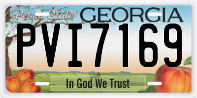GA license plate PVI7169