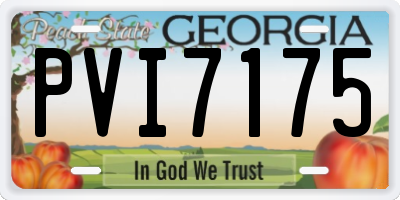 GA license plate PVI7175