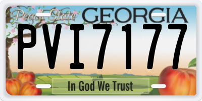 GA license plate PVI7177
