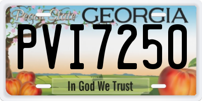 GA license plate PVI7250