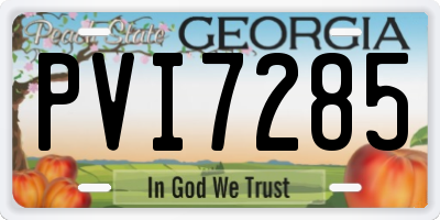 GA license plate PVI7285