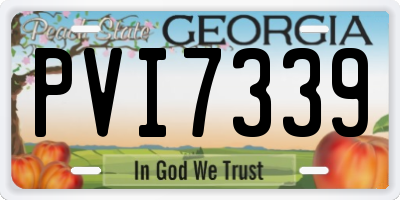 GA license plate PVI7339