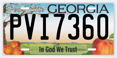 GA license plate PVI7360
