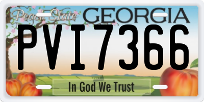 GA license plate PVI7366