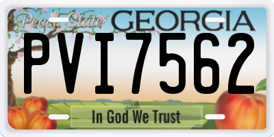 GA license plate PVI7562