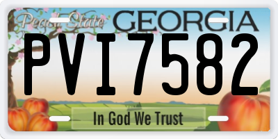 GA license plate PVI7582