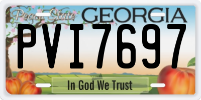 GA license plate PVI7697