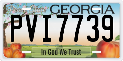 GA license plate PVI7739