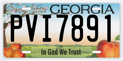 GA license plate PVI7891