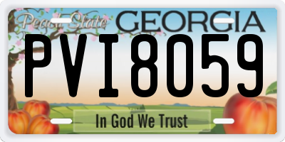 GA license plate PVI8059