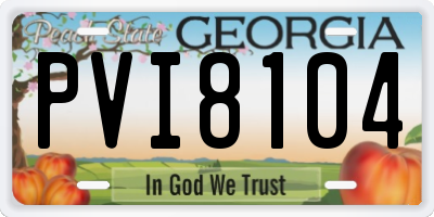 GA license plate PVI8104