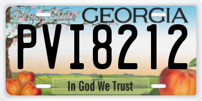 GA license plate PVI8212