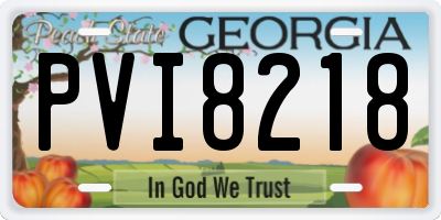 GA license plate PVI8218