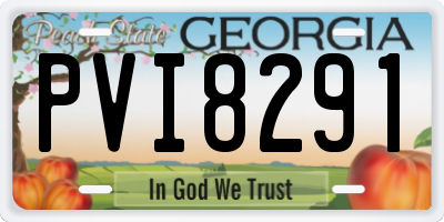 GA license plate PVI8291