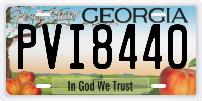 GA license plate PVI8440