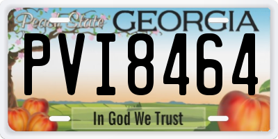GA license plate PVI8464