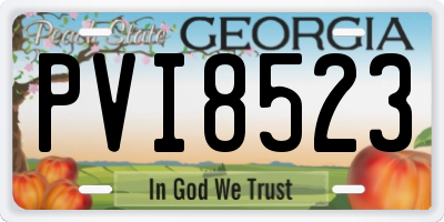 GA license plate PVI8523