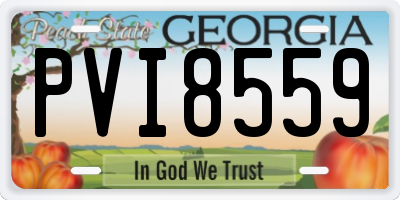 GA license plate PVI8559