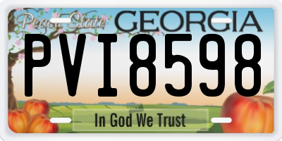 GA license plate PVI8598