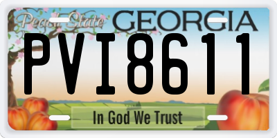 GA license plate PVI8611