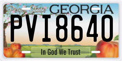 GA license plate PVI8640