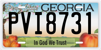 GA license plate PVI8731