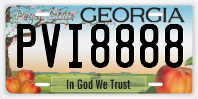 GA license plate PVI8888