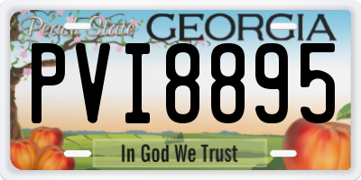 GA license plate PVI8895