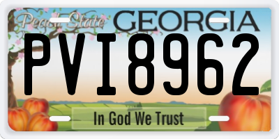 GA license plate PVI8962