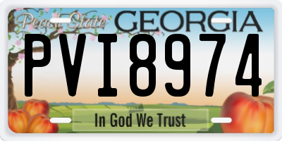 GA license plate PVI8974