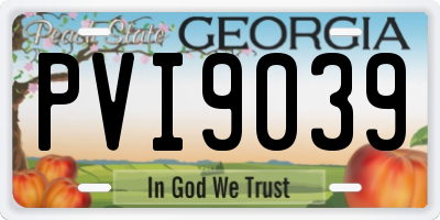 GA license plate PVI9039