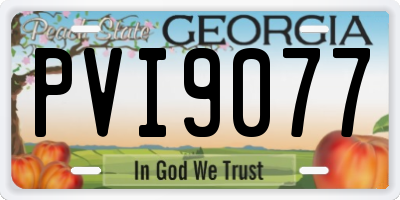 GA license plate PVI9077