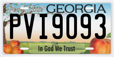GA license plate PVI9093