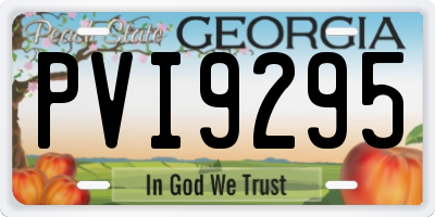 GA license plate PVI9295