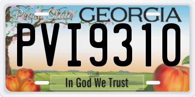 GA license plate PVI9310