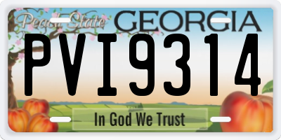 GA license plate PVI9314